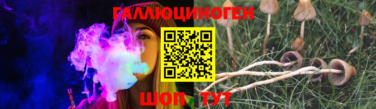 Озёры  Псилоцибиновые грибы Cubensis  Вход с VPN 