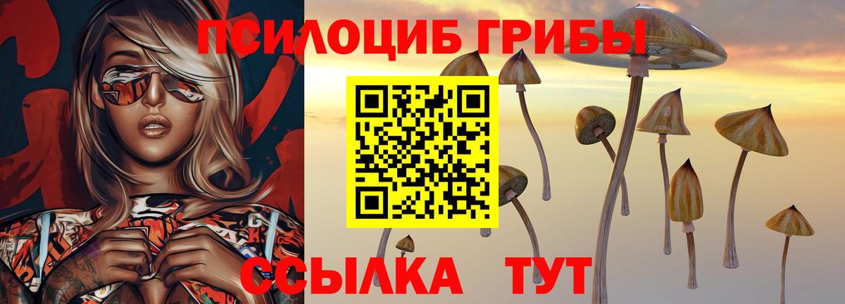 Псилоцибиновые грибы ЛСД Озёры
