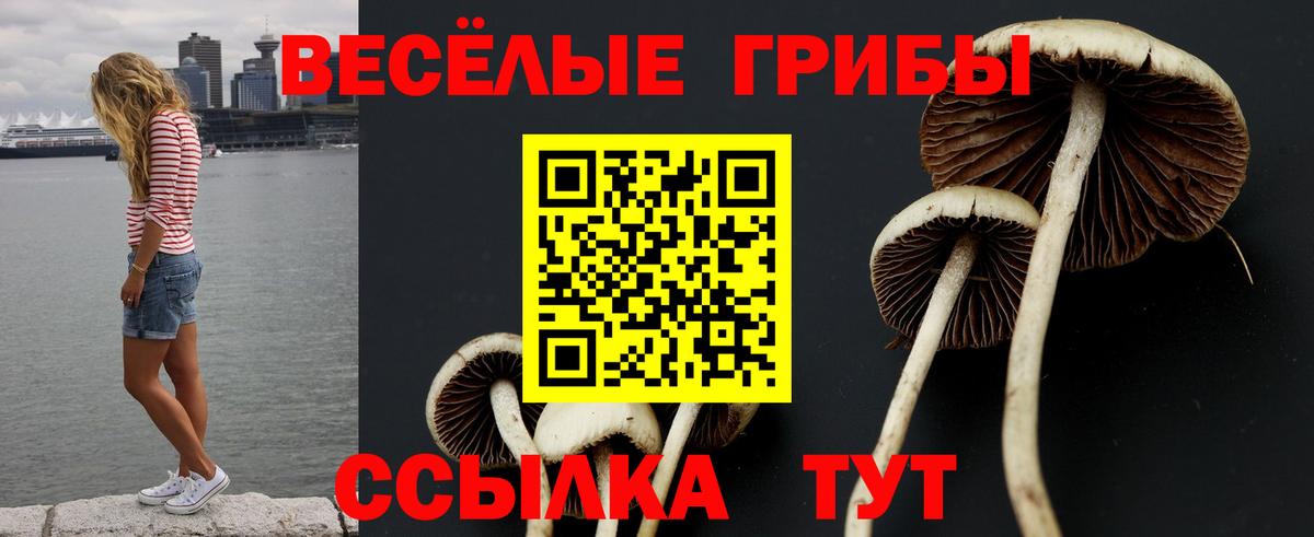 Меф МЯУ МЯУ   Озёры  Бошки Шишки  Вход с VPN  Гашиш 
